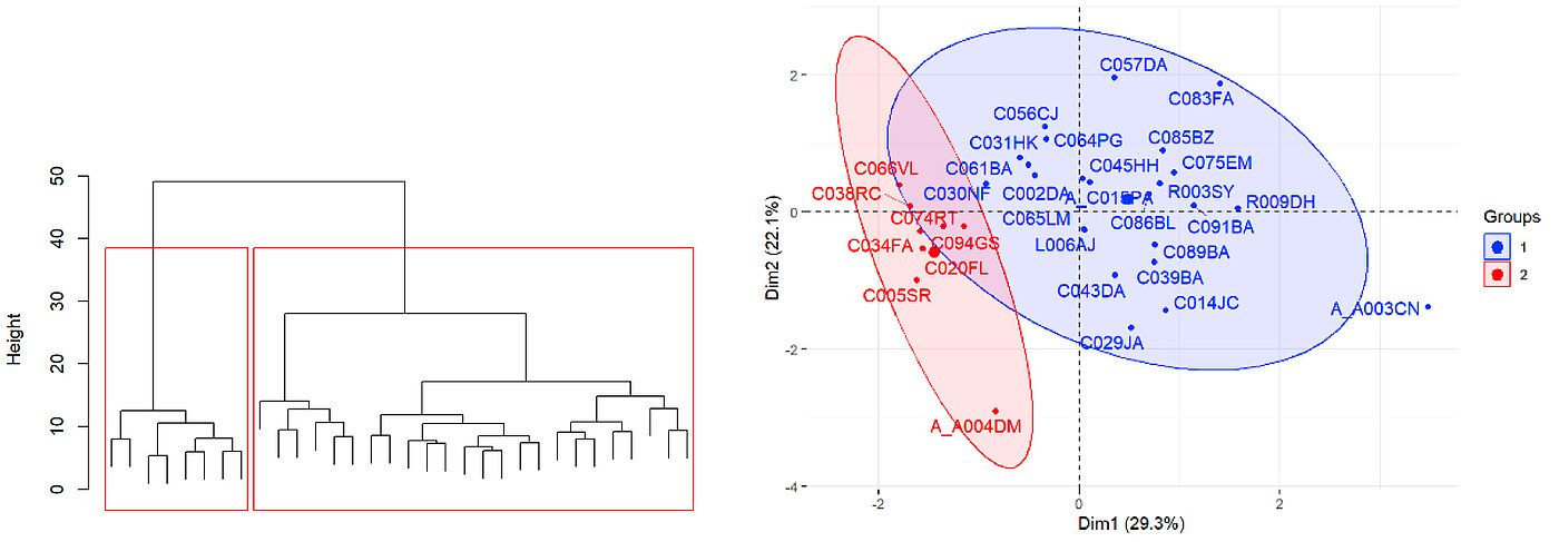  a combination of statistical analyses (hierarchical classification and multiple factor analysis)