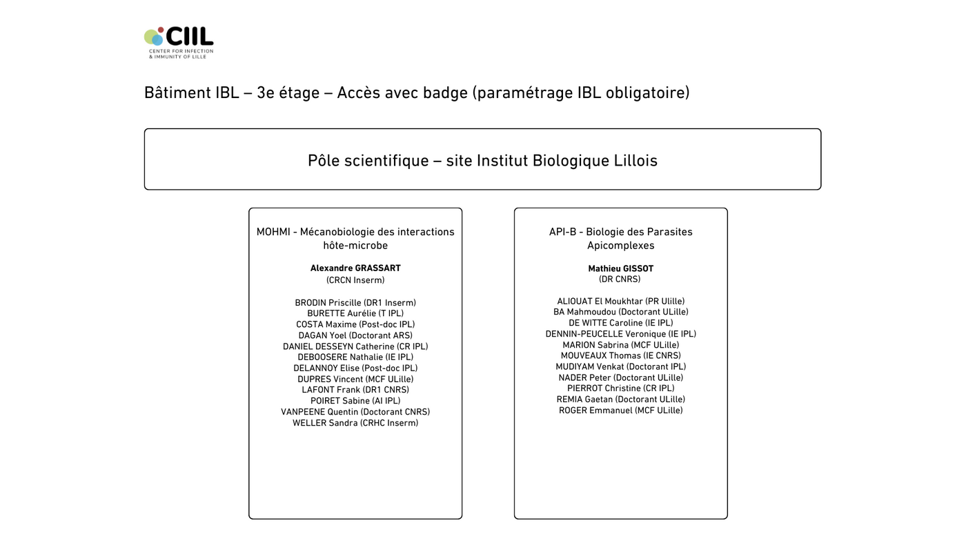 See description below