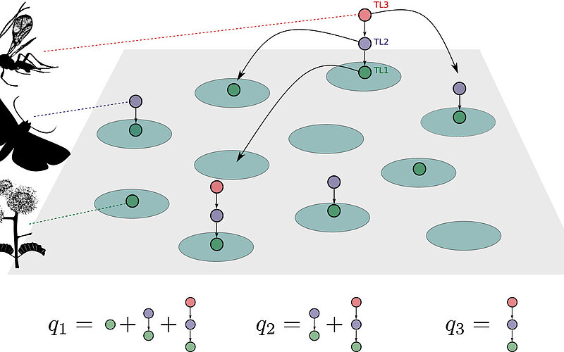 read the full article