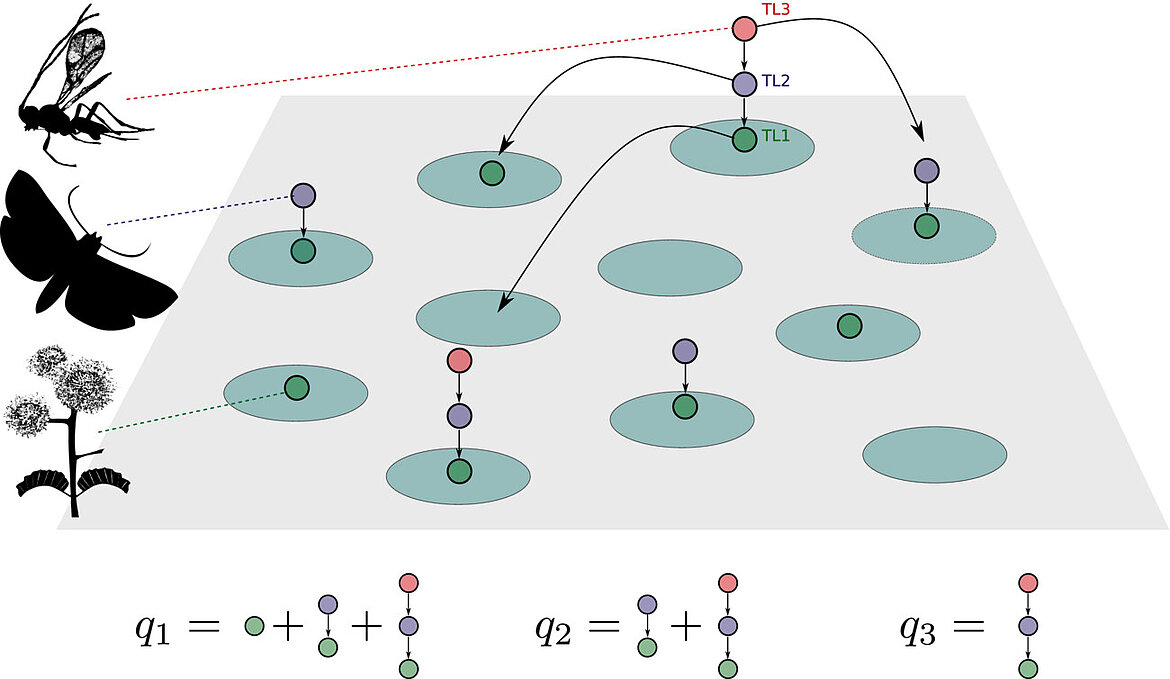 read the full article