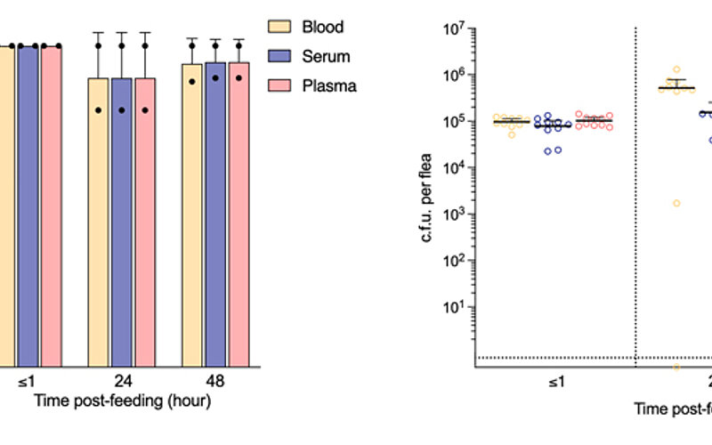 Experimental design for panels