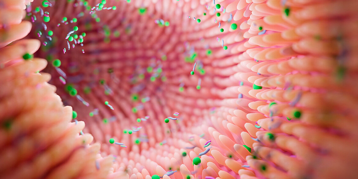 Link to Ines  Leleu interview 