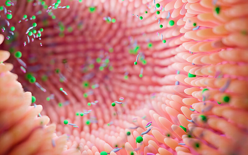 Link to Ines  Leleu interview 