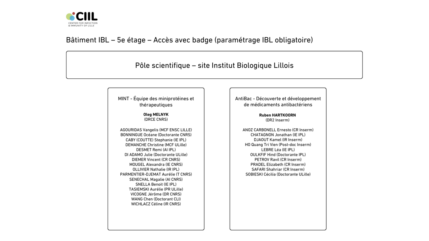 See description below