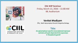 CIIL WIP seminar