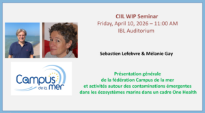 Preesentation of CIIL- WIP Arpil 10