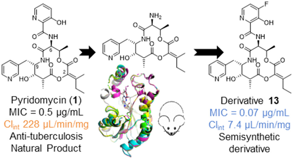 image linked to the entire article