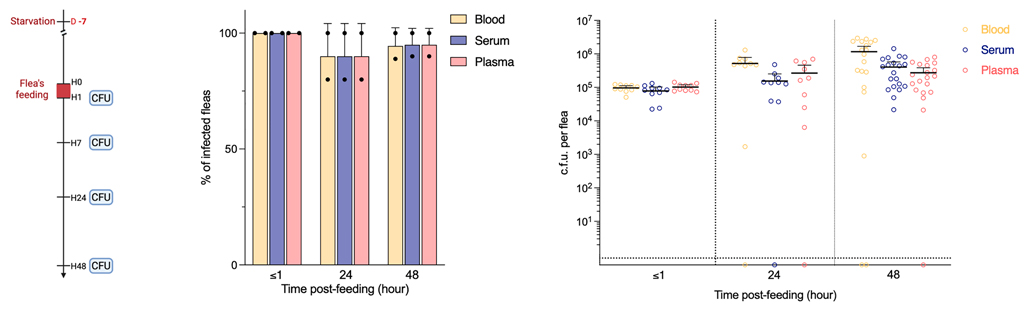 Experimental design for panels
