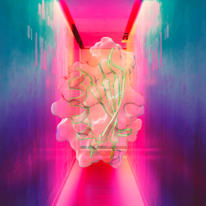 MINIPROTEINS & THERAPEUTICS TEAM WEBSITE